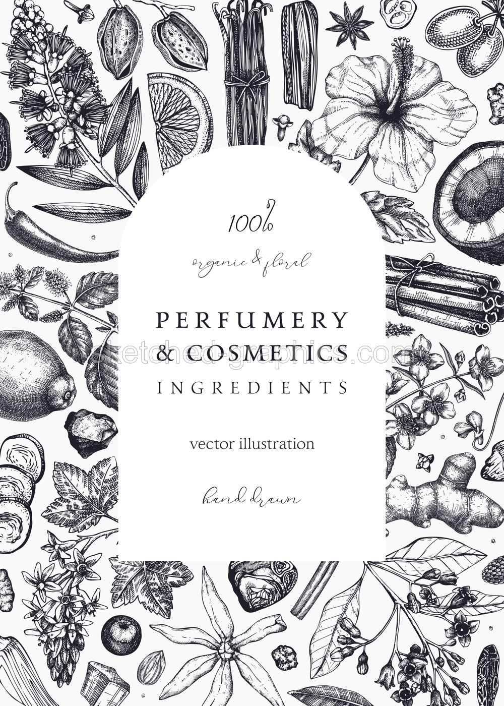 Aromatic plants card template. Perfumery ingredients frame. Flower, fruit, spice, herb sketches. Hand drawn vector illustration. Cosmetics packaging concept Illustration
